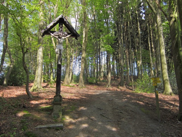 Langs wandelroute Teutoburger Wald